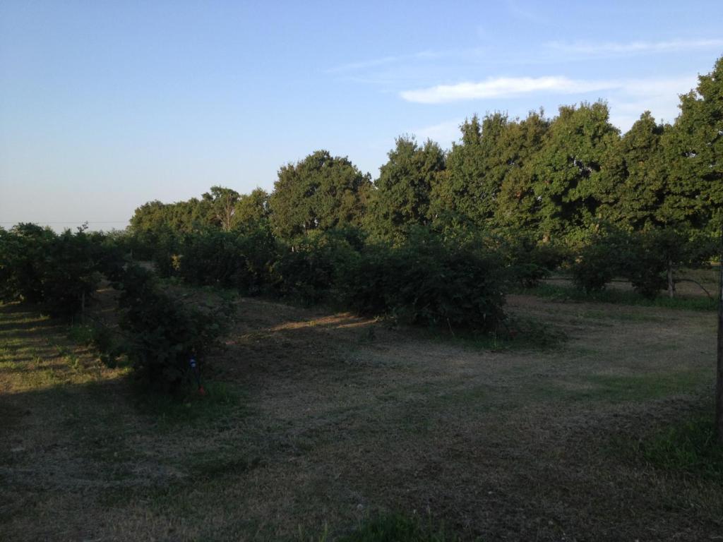 Societa Agricola Le More Agriturismo La Dondina بودريو المظهر الخارجي الصورة