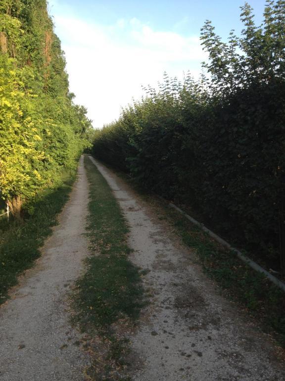 Societa Agricola Le More Agriturismo La Dondina بودريو المظهر الخارجي الصورة