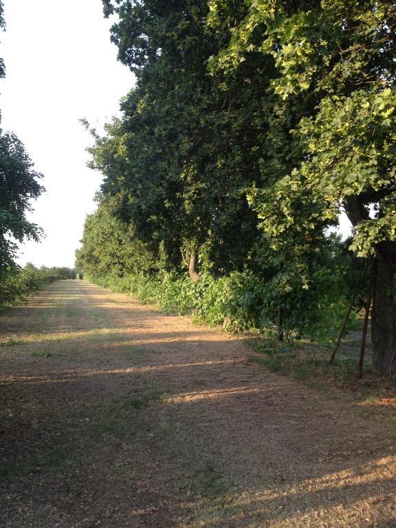 Societa Agricola Le More Agriturismo La Dondina بودريو المظهر الخارجي الصورة